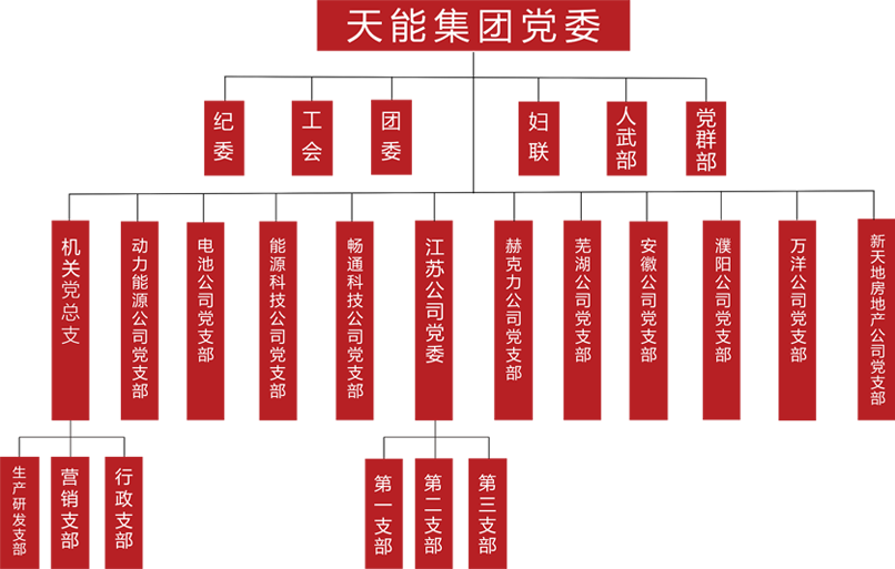 yd2333云顶建团党委组织架构